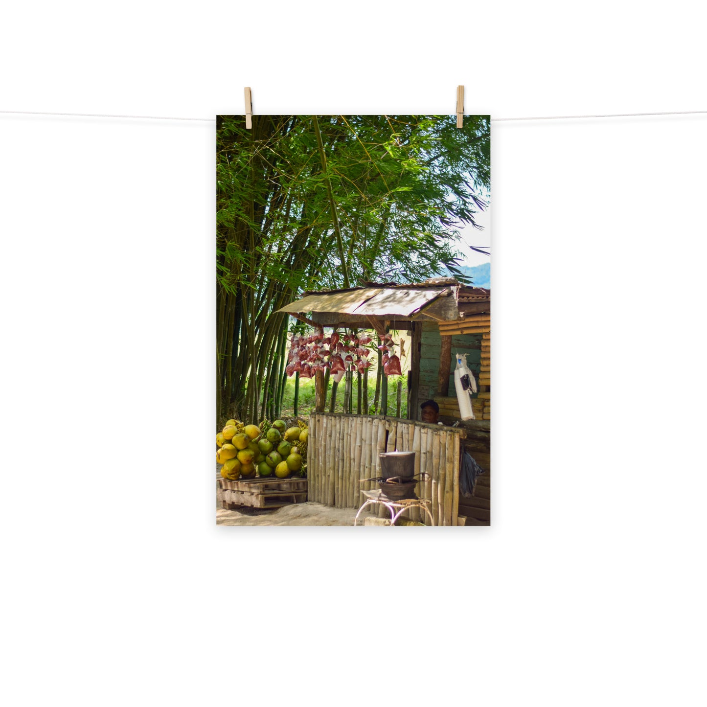 A vibrant photo of a woman selling coconuts and peanuts on the roadside of Holland Bamboo in St. Elizabeth, Jamaica.