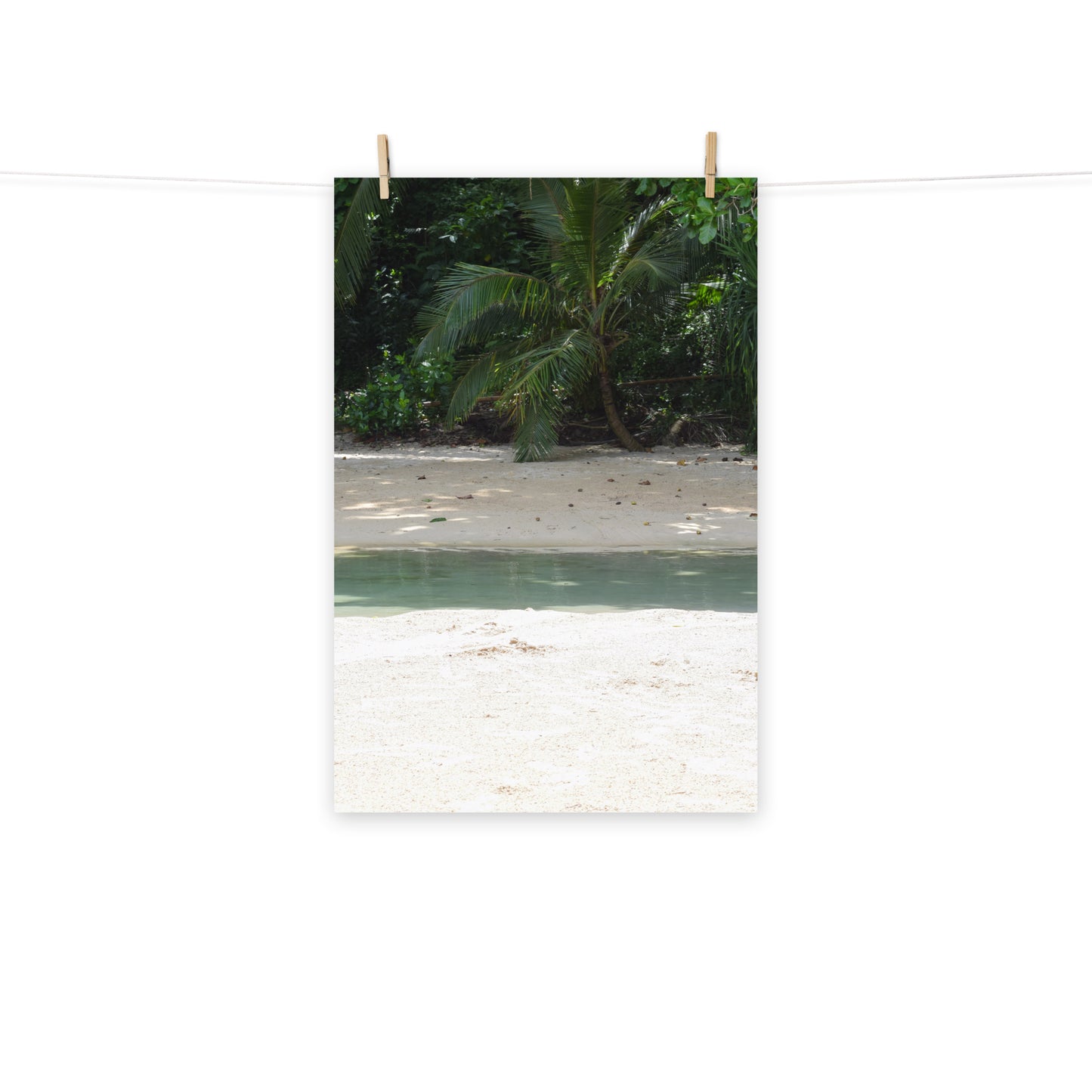 A photo of where the river meets the sea at Frenchman's Cove in Portland, Jamaica.