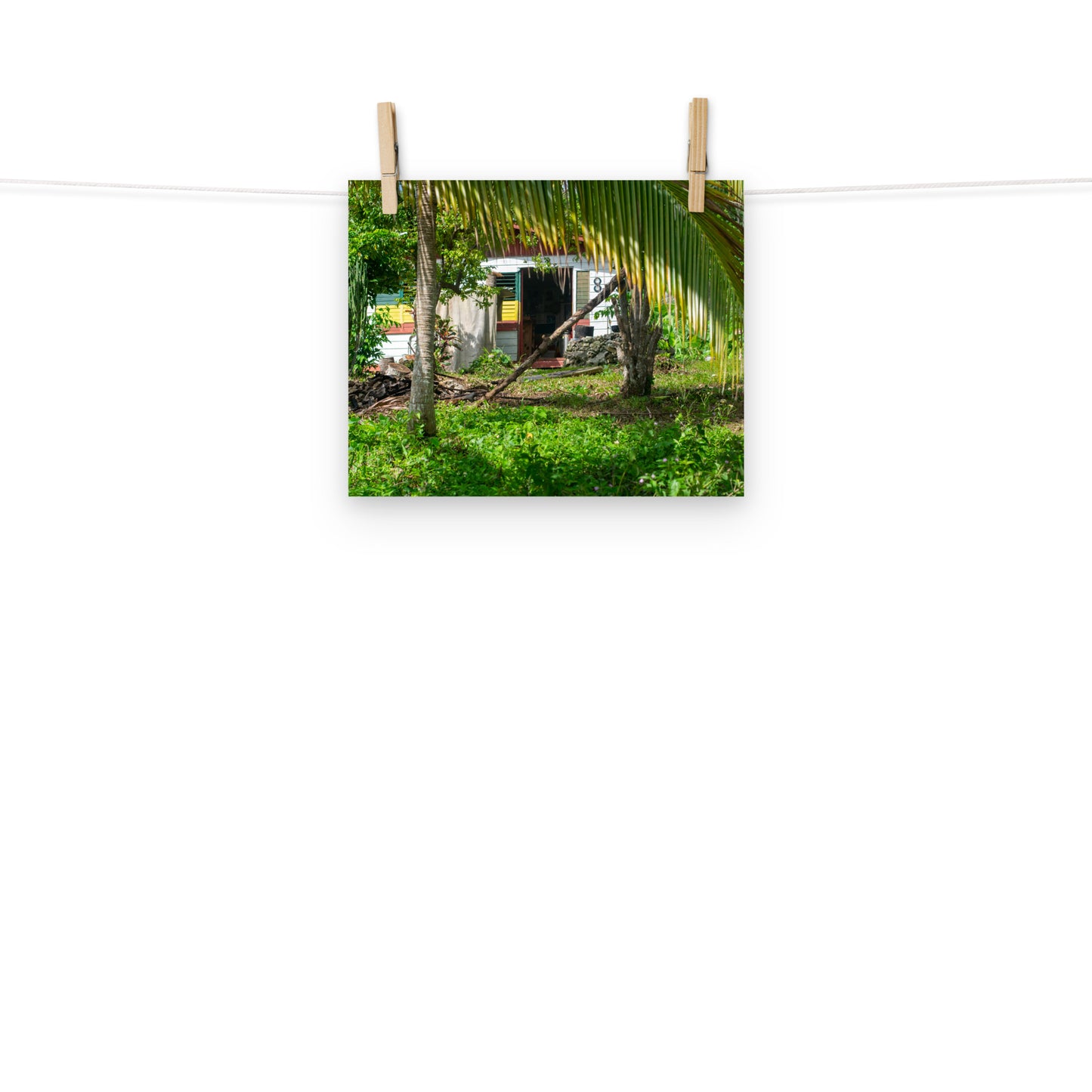 A vibrant photo of a Rastaman's house in the hills of rural Hanover, Jamaica.