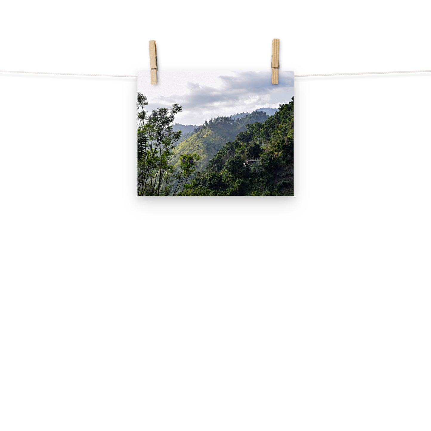 A photo of a home hidden in the hills of Irishtown, St. Andrew, Jamaica.