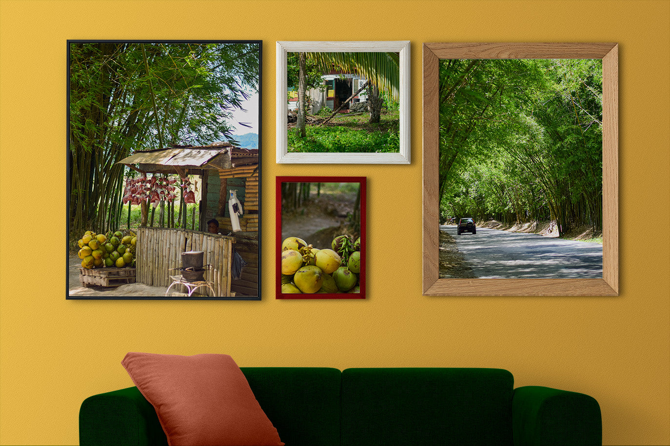 A vibrant photo of a woman selling coconuts and peanuts on the roadside of Holland Bamboo in St. Elizabeth, Jamaica.