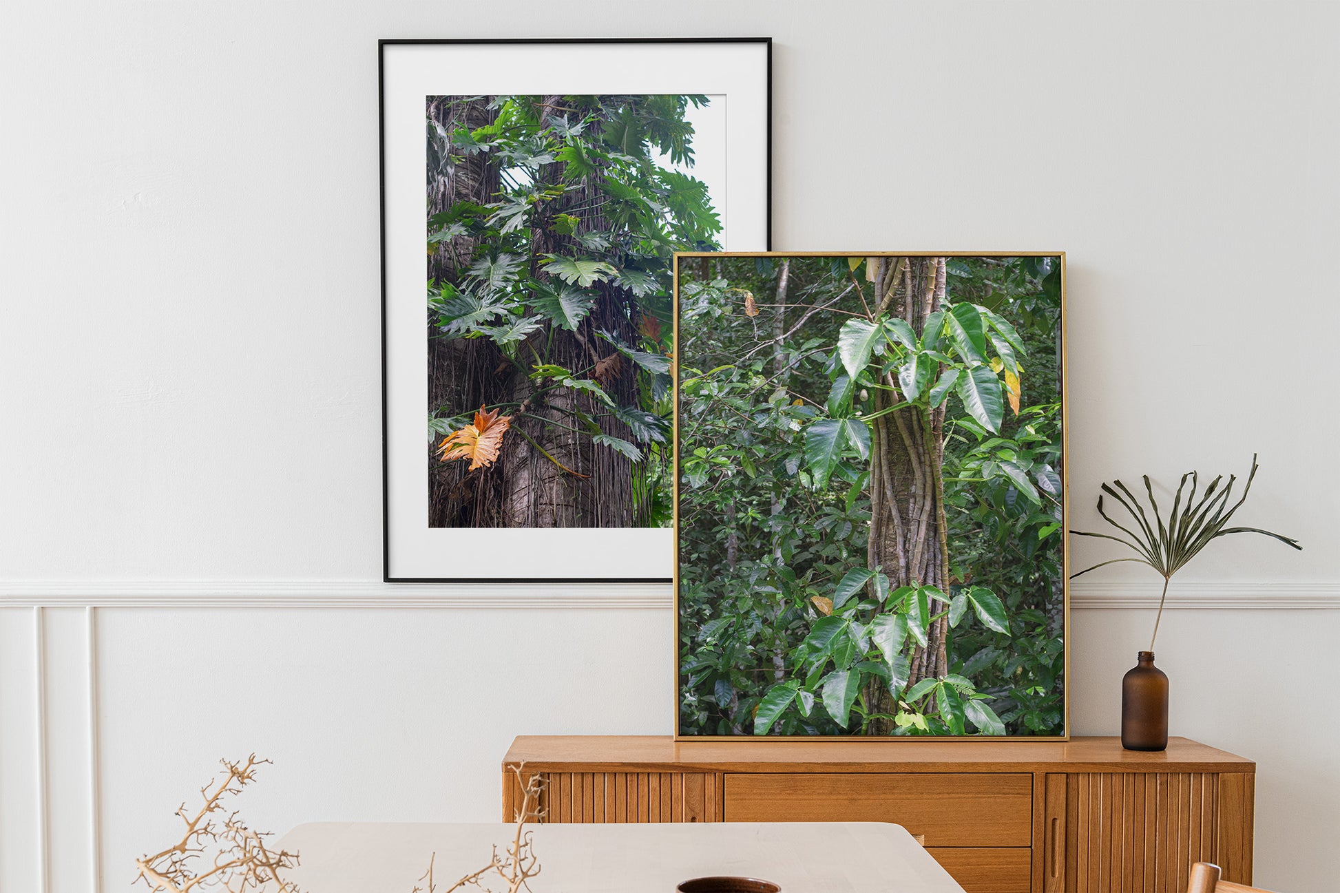 A photo of Philodendron vines climbing a tree in the hills of Hanover, Jamaica in a gallery above a buffet.