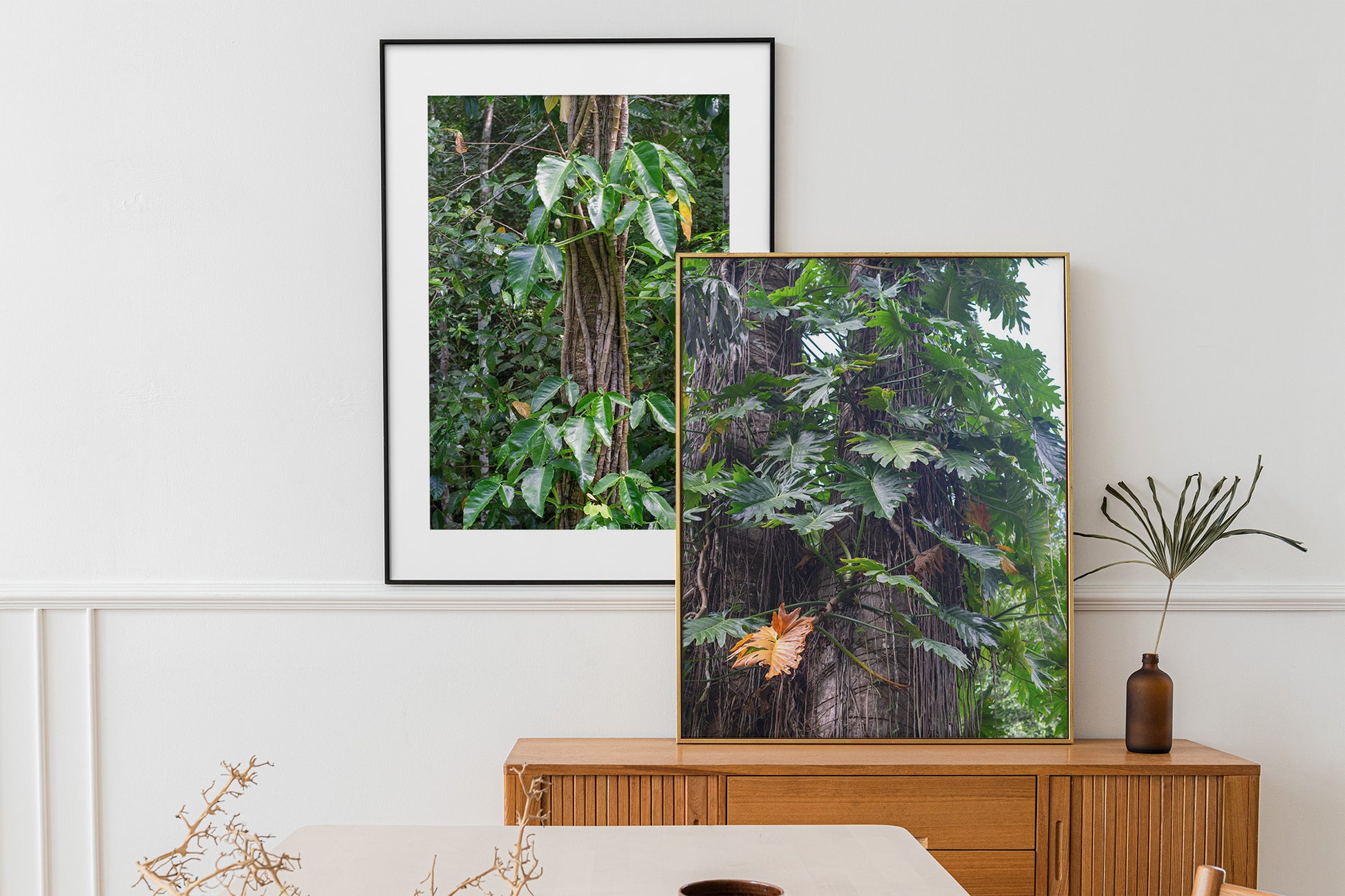 A photo of exotic Philodendron vines climbing a tree in the hills of Hanover, Jamaica. in a gallery wall above a buffet.