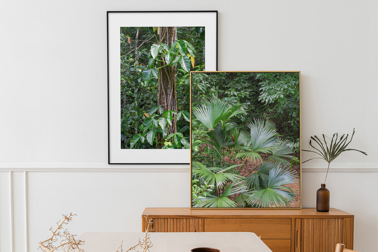 A photo of a wild baby footstool palm plant in the hills of Hanover, Jamaica in a gallery wall over a buffet.