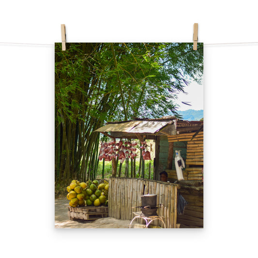 A vibrant photo of a woman selling coconuts and peanuts on the roadside of Holland Bamboo in St. Elizabeth, Jamaica.