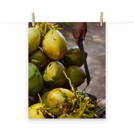 A vibrant photo of a woman chopping coconuts with a machete in Holland Bamboo, St Elizabeth, Jamaica.