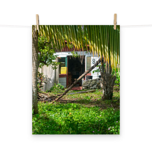 A vibrant photo of a Rastaman's house in the hills of rural Hanover, Jamaica.