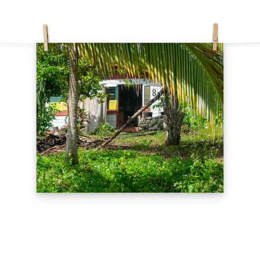 A vibrant photo of a Rastaman's house in the hills of rural Hanover, Jamaica.