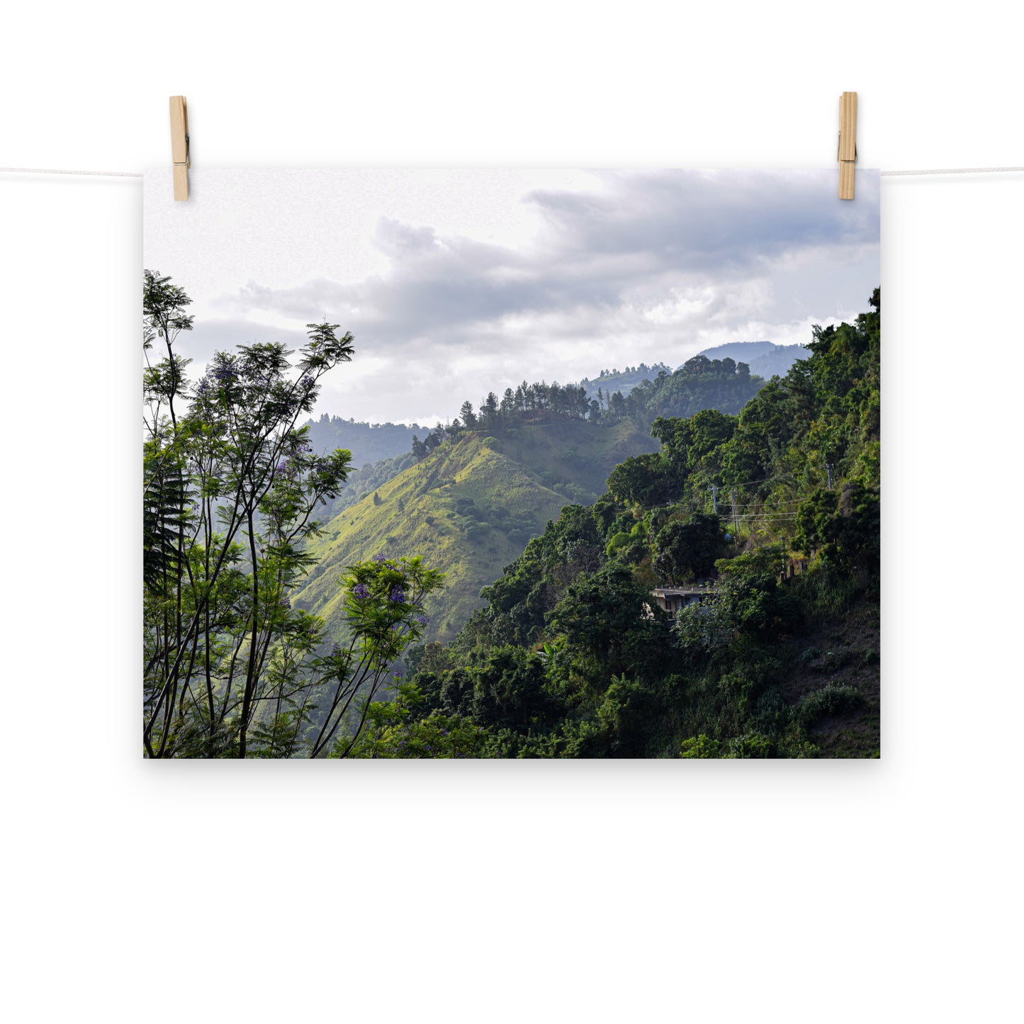 A photo of a home hidden in the hills of Irishtown, St. Andrew, Jamaica.