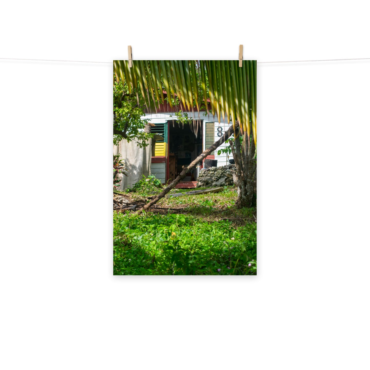 A vibrant photo of a Rastaman's house in the hills of rural Hanover, Jamaica.